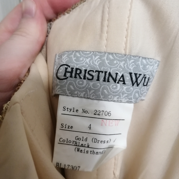 Christina Wu bridesmaid dress - Picture 5 of 5